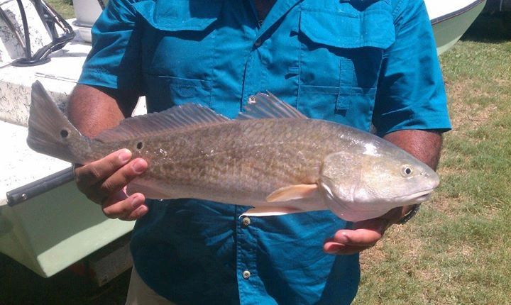 Bay fishing South Padre Island