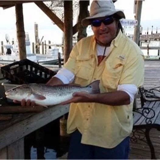 Captain Kevin with a caught fish at the marina
